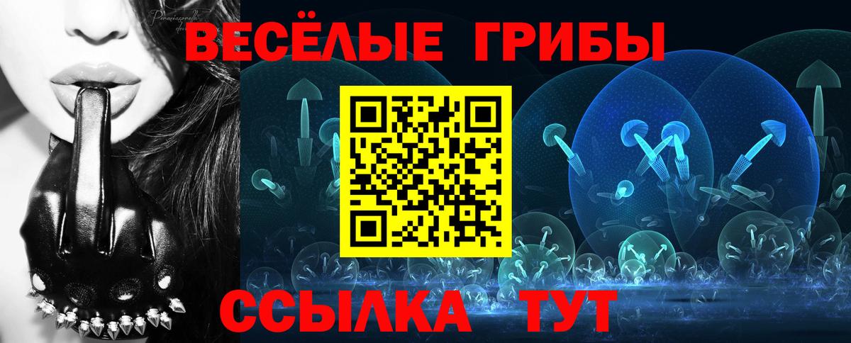 Галлюциногенные грибы Psilocybine cubensis Сафоново